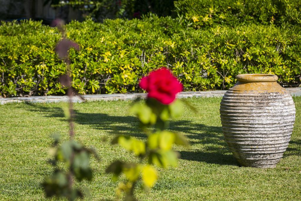 Olive Grove Studios & Apartments Svoronata Extérieur photo